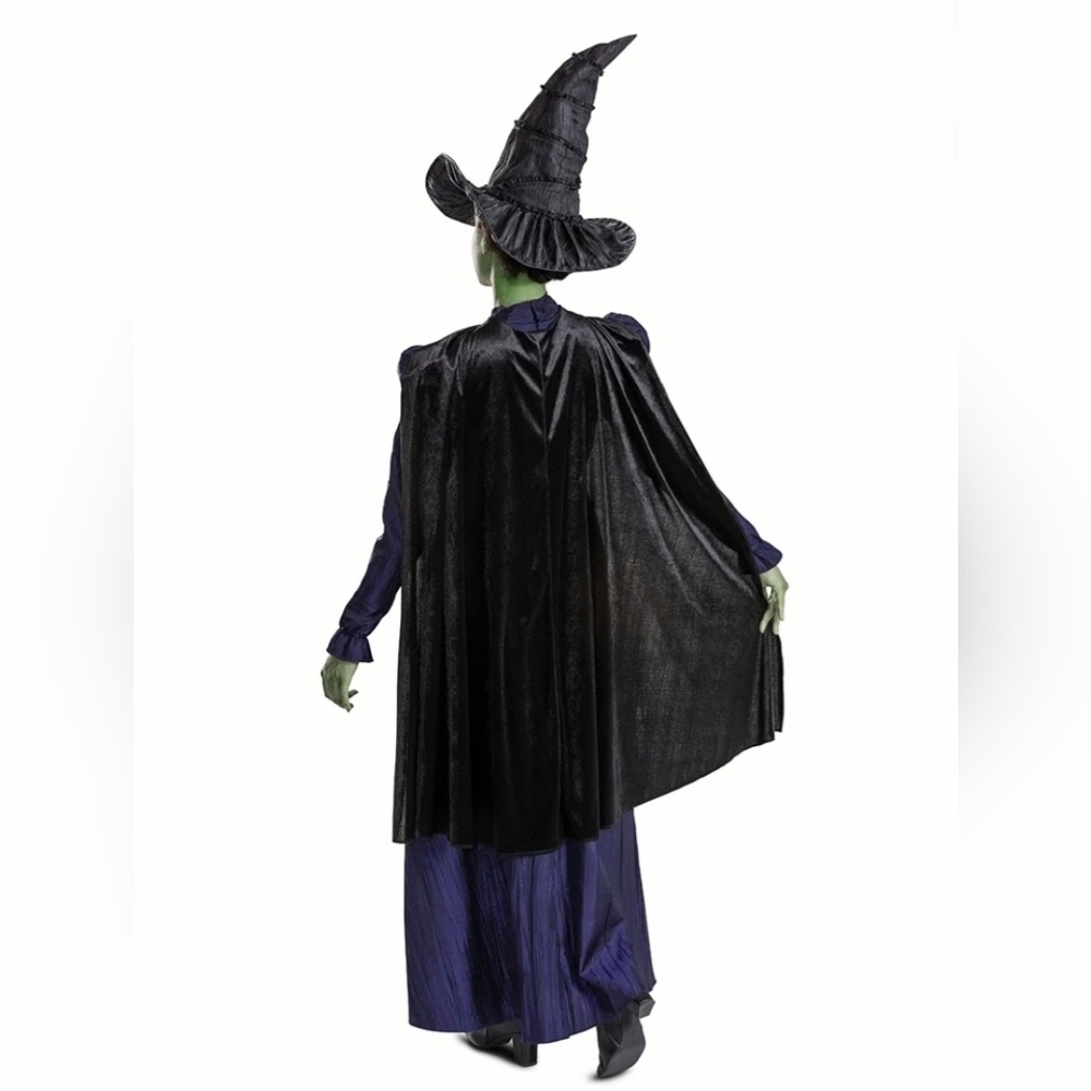 New Wicked for good Elphaba Deluxe Adult Costume Costume, cosplay dress, L 12/14 - Picture 2 of 9